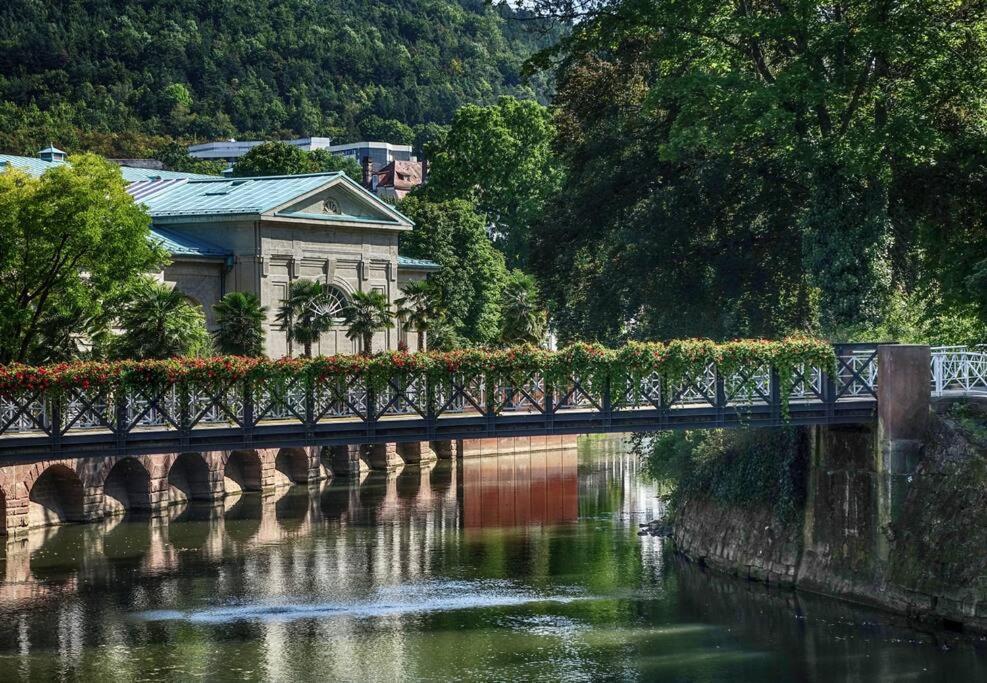 Apartment Sanssouci-fewo 12 Bad Kissingen